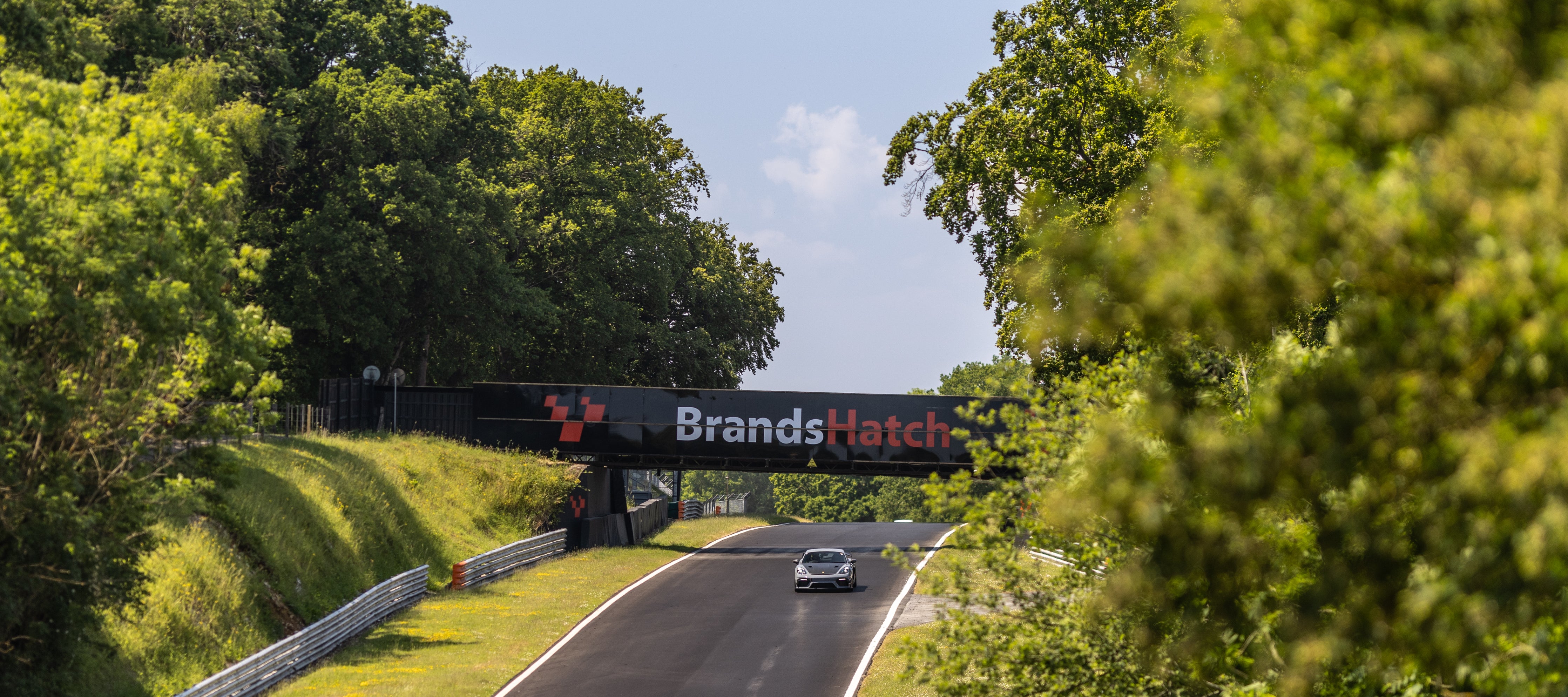 BACK TO BRANDS